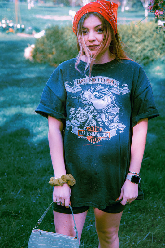 Harley Davidson Tasmanian Devil Tee